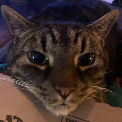 angelo_capu's profile picture. Sailing Cardano’s oceans 🌊 | Infinity Rise / og Copi believer | 22TO22  | ART & AI   |  NFT"s |