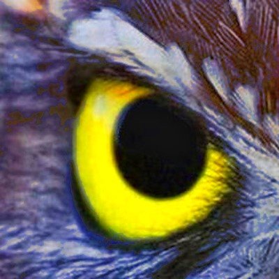 OFFICIAL #FAU Fancast BTYB @FAU_Owls_Nest & The @BleacherBrother Network | 🎙️ @TheKevinFielder @Burdman138 @RLastellaReport Producer @Florida_Owl #GoOwls 🦉