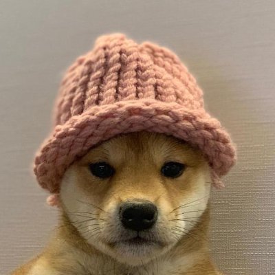 @kung_jook