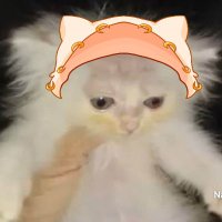 Jack Merloud (@jackmerloud) 's Twitter Profile Photo Jack Merloud (@jackmerloud) 's Twitter Profile Photo