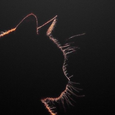 Febs_180822's profile picture. 