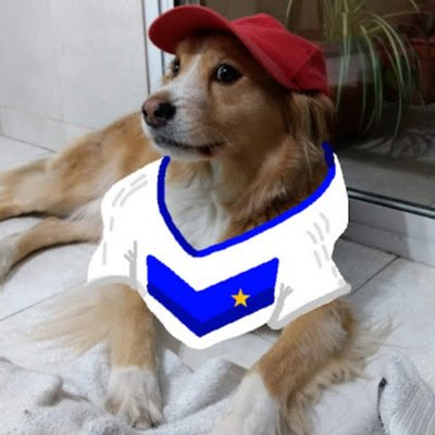 La 3era cuenta, voy y vengo, hago diseños y posters flipantes (?. DISEÑADOR, PRODUCTOR, FOTOGRAFO y PROFE. De Velez carajoo
ig: gabinehuen / nehuix.dis
