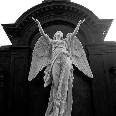 Kalan0571352132's profile picture. recém introduzida na comunidade, burrinha 💔💔