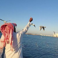 صادق الود❤️ (@hamad1119900) Twitter profile photo