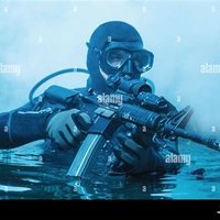 Frogman Crypto (@frogmancrypto) 's Twitter Profile Photo