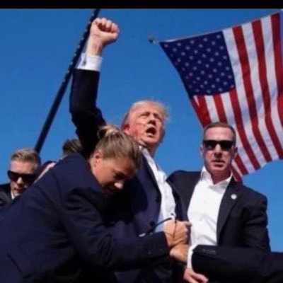 more_maga66258's profile picture. 