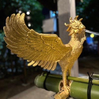 yama081555's profile picture. 