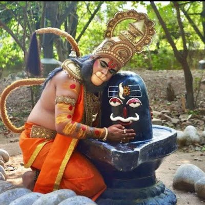 ShreeKrish66839's profile picture. 