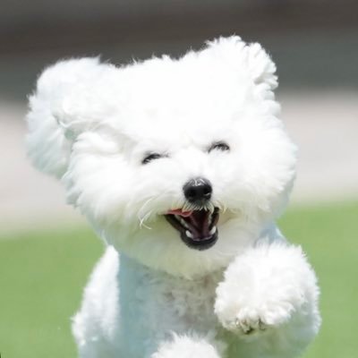 阪神間で不動産買取・仲介をしてます! どんな物件も買取いたします!情報をお待ちしております!仲介手数料は勿論ですが再販もだします。営業の方は是非DMにて情報を頂けると嬉しいです!大阪府内、兵庫県の物件がありがたいです!自費看護師付き添いサービス・福祉タクシー事業開始