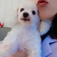 จจฬ.♡ (@jorjorlaw) 's Twitter Profile Photo จจฬ.♡ (@jorjorlaw) 's Twitter Profile Photo