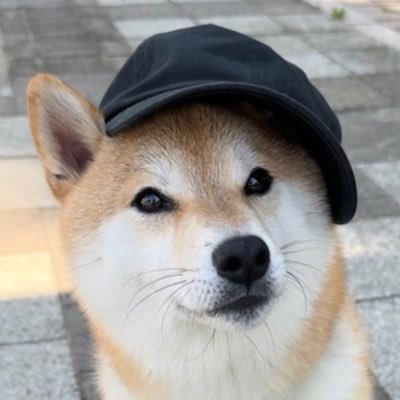 お誕生日 2021/6/19
お家記念日 2021/11/10