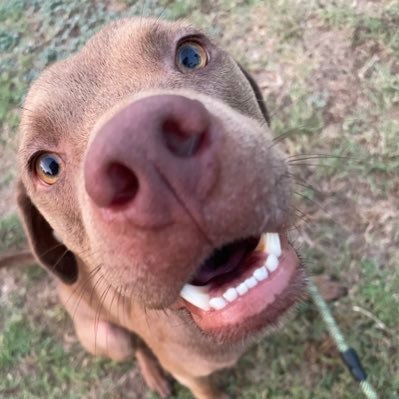 sheilaa_torres's profile picture. No more worryin' at all, baby, I just wanna live!!