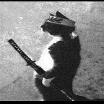 rigbiman16's profile picture. 