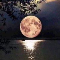 طلال الذيابي (@1v333) 's Twitter Profile Photo