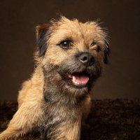Gus (@gusthebt) 's Twitter Profile Photo Gus (@gusthebt) 's Twitter Profile Photo
