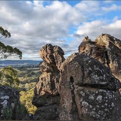 lotfeyako's profile picture. 