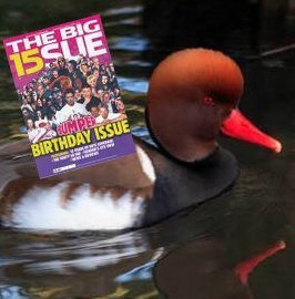 Sabey78's profile picture. Just a man trying to get by in this world with a constant problem with cars. A love for the mighty Aston Villa that will never die