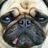 mayu_408's profile image