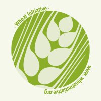 Wheat Initiative (@wheatinitiative) 's Twitter Profile Photo Wheat Initiative (@wheatinitiative) 's Twitter Profile Photo