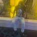 Phi (@phithagreat) Twitter profile photo Phi (@phithagreat) Twitter profile photo