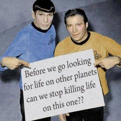 mdubic's profile picture. Samo🌲