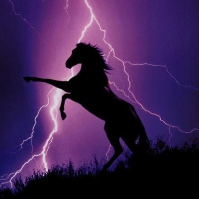 MayorOfRageCity's profile picture. Fuck shit up