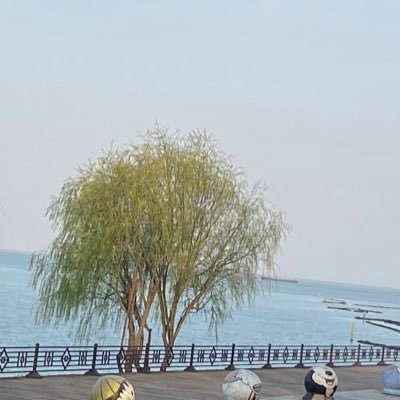 beautloey's profile picture. 