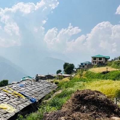 sr_napster's profile picture. Adapt or die.