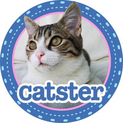 Love cats? 😻
You're In The Right Place! 📍
Subscribe to our YT Channel: https://t.co/FLtcN3vV3k 🐈