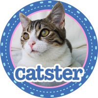 catster (@catster) 's Twitter Profile Photo