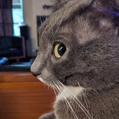 Winnu237's profile picture. faîtes juste de votre mieux ❤️