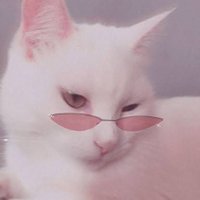 shadymanila 🎩🪄🧙♂️🌙 (@shadysummerr) 's Twitter Profile