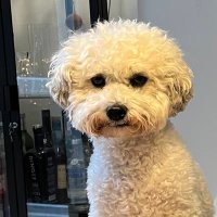 TaraLynneONeill (@taralynneoneil1) 's Twitter Profile