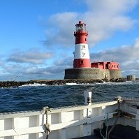 Farne Islands Boat Trips (@farnetrips) 's Twitter Profile