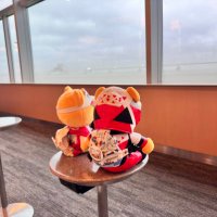 konosuke fukui (@8sbbcat5bz27183) Twitter profile photo