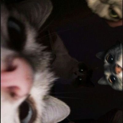 DyDy510657's profile picture. 