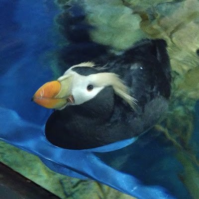 日時が合えば、どこでも行きます!
囲碁インストラクター&学校普及指導員初心者
囲碁普及したいが、何をしたらいいかわからない。アドバイスください。お願いします。
プレイヤーとしても未熟