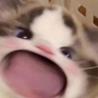 ꕤ kaayy²⁵ (@loavinn) 's Twitter Profile Photo ꕤ kaayy²⁵ (@loavinn) 's Twitter Profile Photo