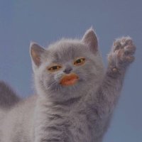 dumptadumb🐬 (@dumpdub) Twitter profile photo