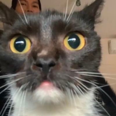 kunsalty_215's profile picture. 