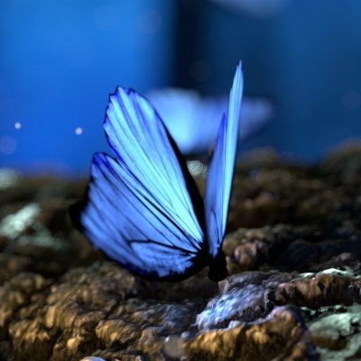 none_bs1's profile picture. Tech Enthusiast ✨✨✨