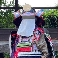 柵之助元高 (@t9615cm) 's Twitter Profile Photo
