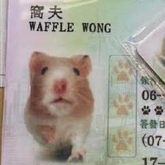 wowmagic__'s profile picture. porcelain to my miry clay