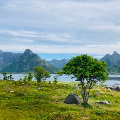 Professor of German Culture, Department of Language and Literature, @NTNU #Trondheim, #Norway. Find me at: https://t.co/Y7FioqpTaS