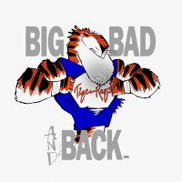 TigerRags (@tigerrags) 's Twitter Profile Photo TigerRags (@tigerrags) 's Twitter Profile Photo