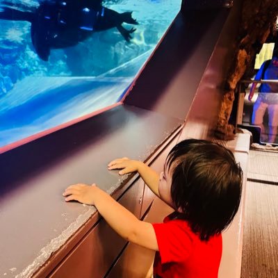 cappuccino_non's profile picture. つー様👶という最愛の息子を愛でる事に全力を注いでいる毎日。でも変わらず“スピンオフ”のボーカリストとして歌を愛しつつ、アニソンを愛しつつ、傍らでミニオンに大々的な愛を注ぐ。 自由気ままに。LiSAさんリスペクト。 花江夏樹さん、リモーネ先生、びんとろーる大好き。暇な時間はユーチューブばっか見て廃人化。