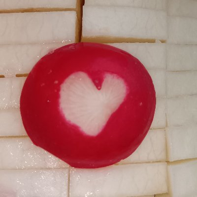 Avocad0Happy9's profile picture. 事故→緊急手術→入院→病院の香害の現状を体感、記録、調査していきます… #香害病院記録 ←科学的に環境負荷を少なくする生活＆ナチュラルクリーニングから一転、急激大量の投薬＋病院内多量の香害猛攻撃によって過敏性獲得した疑いあり😢飲酒ひき逃げ犯を撲滅しましょう🚭why don't u save the earth？