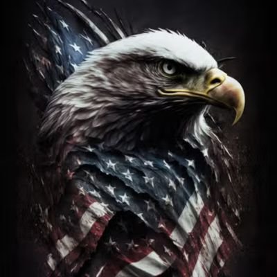 USEagleEye's profile picture.