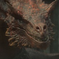 Caraxes (@spicynoodleboy_) 's Twitter Profile