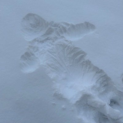 caagatayyyyyy's profile picture. . Nam-ı diğer Baytaaaaar